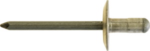 pr11